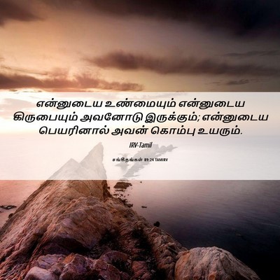 Picture 06 - சங்கீதங்கள் 89:24 TAMIRV - என்னுடைய - Bible Verse Picture