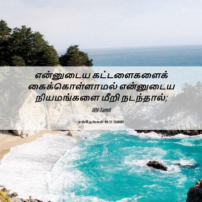 Picture 06 - சங்கீதங்கள் 89:31 TAMIRV - என்னுடைய - Bible Verse Picture