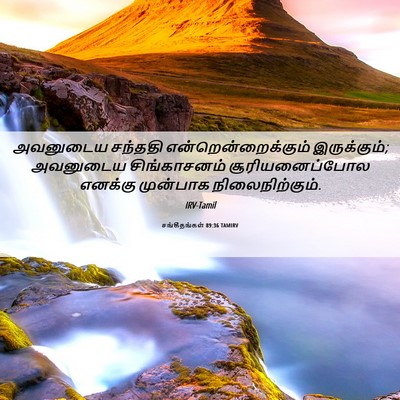 Picture 06 - சங்கீதங்கள் 89:36 TAMIRV - அவனுடைய சந்ததி - Bible Verse Picture