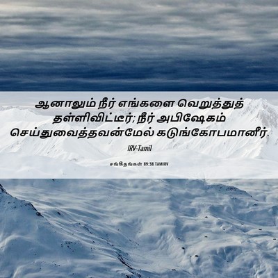 Picture 06 - சங்கீதங்கள் 89:38 TAMIRV - ஆனாலும் நீர் - Bible Verse Picture