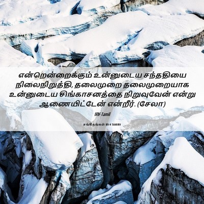 Picture 06 - சங்கீதங்கள் 89:4 TAMIRV - என்றென்றைக்கும் - Bible Verse Picture