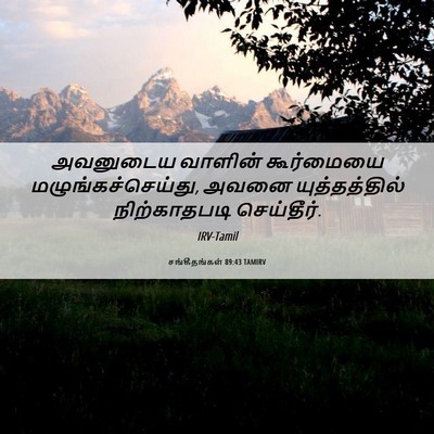 Picture 06 - சங்கீதங்கள் 89:43 TAMIRV - அவனுடைய வாளின் - Bible Verse Picture