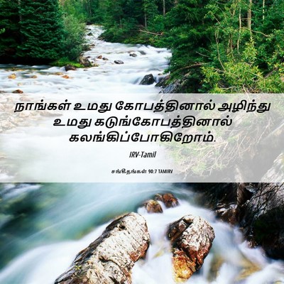 Picture 06 - சங்கீதங்கள் 90:7 TAMIRV - நாங்கள் உமது - Bible Verse Picture