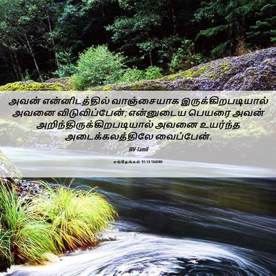 Picture 06 - சங்கீதங்கள் 91:14 TAMIRV - அவன் என்னிடத்தில் - Bible Verse Picture