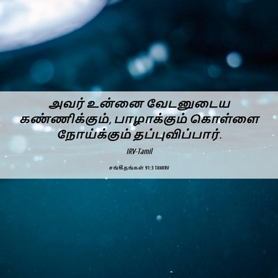 Picture 06 - சங்கீதங்கள் 91:3 TAMIRV - அவர் உன்னை - Bible Verse Picture