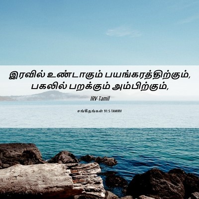 Picture 06 - சங்கீதங்கள் 91:5 TAMIRV - இரவில் உண்டாகும் - Bible Verse Picture