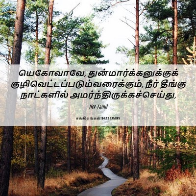 Picture 06 - சங்கீதங்கள் 94:12 TAMIRV - யெகோவாவே, - Bible Verse Picture