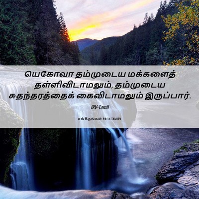 Picture 06 - சங்கீதங்கள் 94:14 TAMIRV - யெகோவா தம்முடைய - Bible Verse Picture