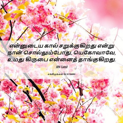 Picture 06 - சங்கீதங்கள் 94:18 TAMIRV - என்னுடைய கால் - Bible Verse Picture