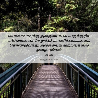 Picture 06 - சங்கீதங்கள் 96:8 TAMIRV - யெகோவாவுக்கு - Bible Verse Picture