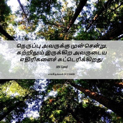 Picture 06 - சங்கீதங்கள் 97:3 TAMIRV - நெருப்பு அவருக்கு - Bible Verse Picture