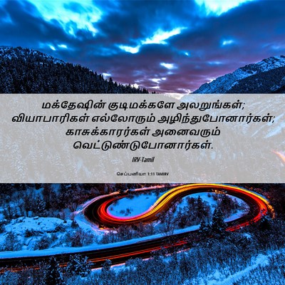 Picture 06 - செப்பனியா 1:11 TAMIRV - மக்தேஷின் - Bible Verse Picture