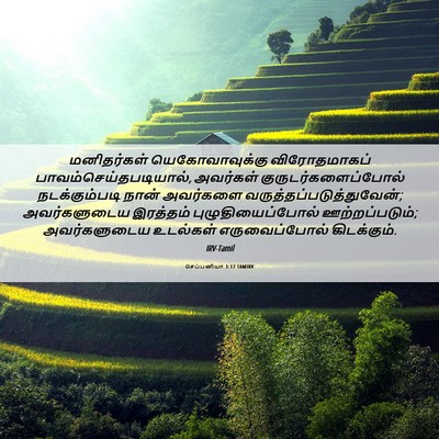 Picture 06 - செப்பனியா 1:17 TAMIRV - மனிதர்கள் - Bible Verse Picture