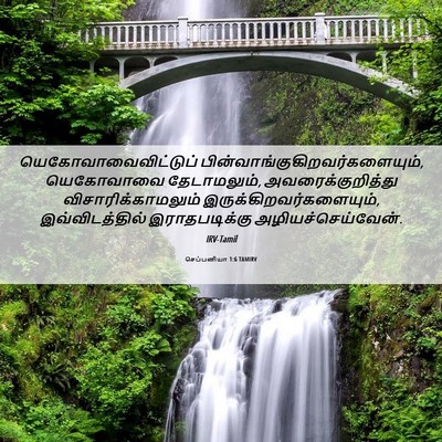 Picture 06 - செப்பனியா 1:6 TAMIRV - யெகோவாவைவிட்டுப் - Bible Verse Picture