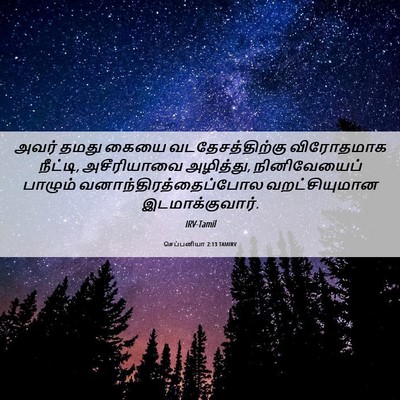 Picture 06 - செப்பனியா 2:13 TAMIRV - அவர் தமது கையை - Bible Verse Picture