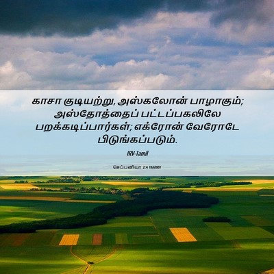 Picture 06 - செப்பனியா 2:4 TAMIRV - காசா குடியற்று, - Bible Verse Picture