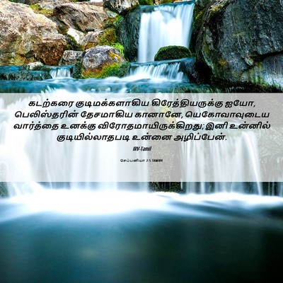 Picture 06 - செப்பனியா 2:5 TAMIRV - கடற்கரை - Bible Verse Picture
