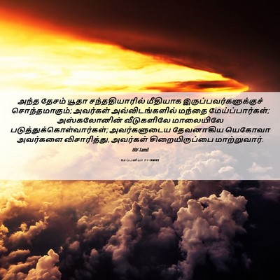 Picture 06 - செப்பனியா 2:7 TAMIRV - அந்த தேசம் யூதா - Bible Verse Picture
