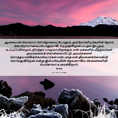 Picture 06 - செப்பனியா 2:9 TAMIRV - ஆகையால் மோவாப் - Bible Verse Picture