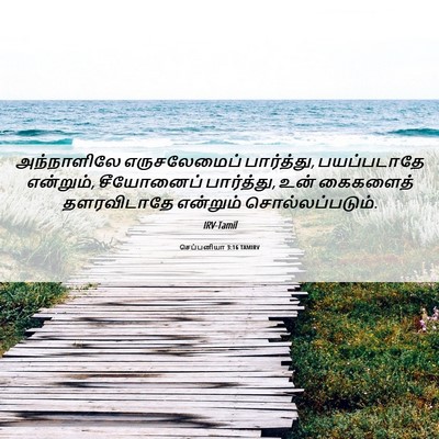 Picture 06 - செப்பனியா 3:16 TAMIRV - அந்நாளிலே - Bible Verse Picture
