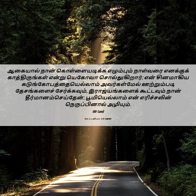 Picture 06 - செப்பனியா 3:8 TAMIRV - ஆகையால் நான் - Bible Verse Picture