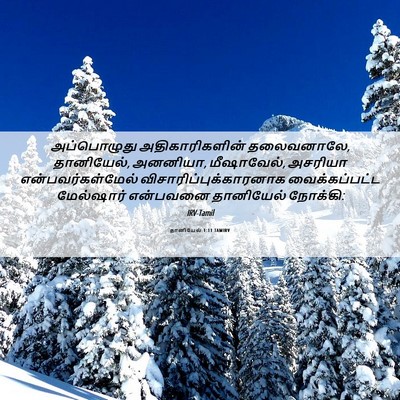 Picture 06 - தானியேல் 1:11 TAMIRV - அப்பொழுது - Bible Verse Picture