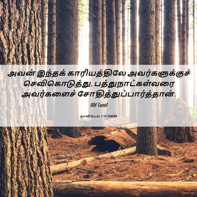 Picture 06 - தானியேல் 1:14 TAMIRV - அவன் இந்தக் - Bible Verse Picture