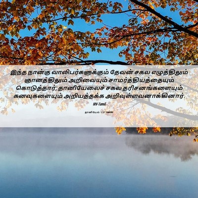 Picture 06 - தானியேல் 1:17 TAMIRV - இந்த நான்கு - Bible Verse Picture
