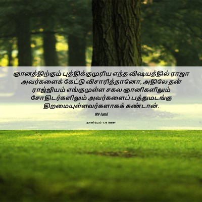 Picture 06 - தானியேல் 1:20 TAMIRV - ஞானத்திற்கும் - Bible Verse Picture