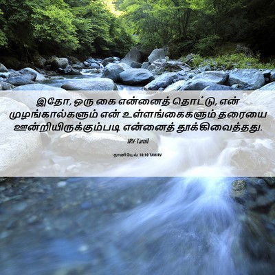 Picture 06 - தானியேல் 10:10 TAMIRV - இதோ, ஒரு கை என்னைத் - Bible Verse Picture