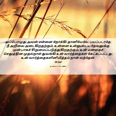 Picture 06 - தானியேல் 10:12 TAMIRV - அப்பொழுது அவன் - Bible Verse Picture
