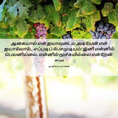Picture 06 - தானியேல் 10:17 TAMIRV - ஆகையால் என் - Bible Verse Picture