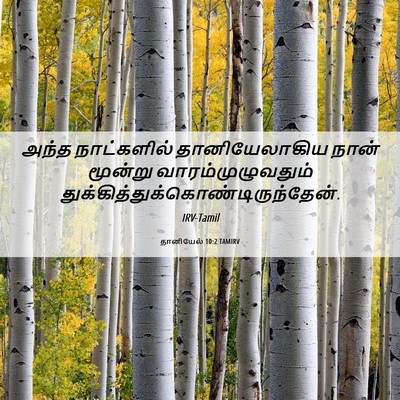 Picture 06 - தானியேல் 10:2 TAMIRV - அந்த நாட்களில் - Bible Verse Picture