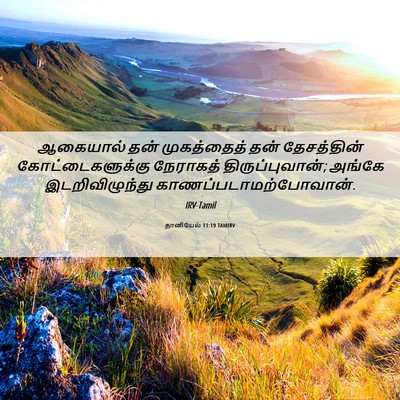 Picture 06 - தானியேல் 11:19 TAMIRV - ஆகையால் தன் - Bible Verse Picture