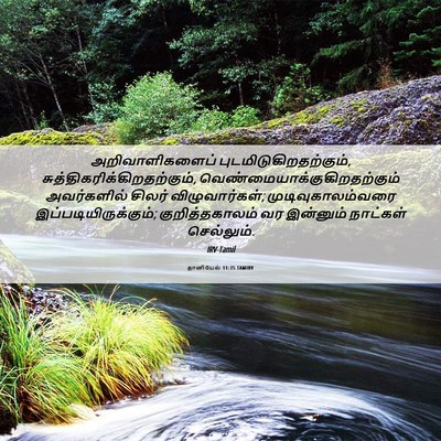 Picture 06 - தானியேல் 11:35 TAMIRV - அறிவாளிகளைப் - Bible Verse Picture