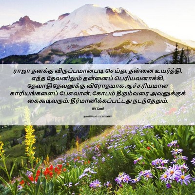 Picture 06 - தானியேல் 11:36 TAMIRV - ராஜா தனக்கு - Bible Verse Picture