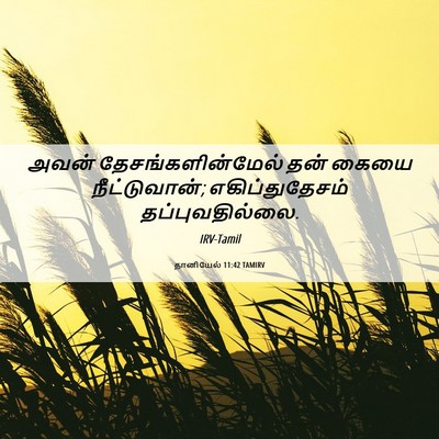 Picture 06 - தானியேல் 11:42 TAMIRV - அவன் - Bible Verse Picture
