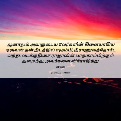 Picture 06 - தானியேல் 11:7 TAMIRV - ஆனாலும் அவளுடைய - Bible Verse Picture