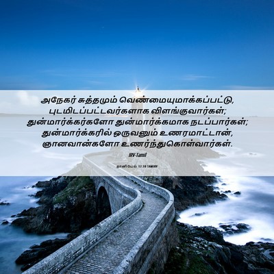 Picture 06 - தானியேல் 12:10 TAMIRV - அநேகர் சுத்தமும் - Bible Verse Picture
