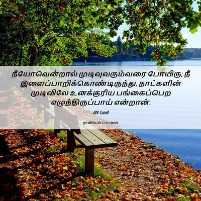 Picture 06 - தானியேல் 12:13 TAMIRV - நீயோவென்றால் - Bible Verse Picture