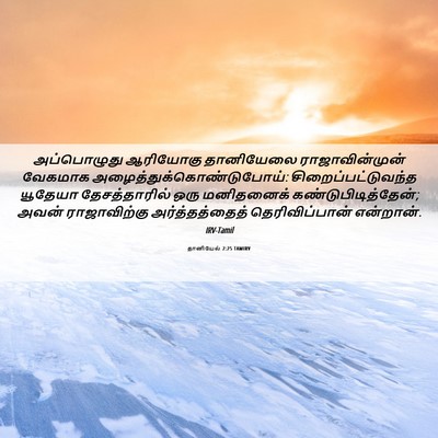 Picture 06 - தானியேல் 2:25 TAMIRV - அப்பொழுது ஆரியோகு - Bible Verse Picture