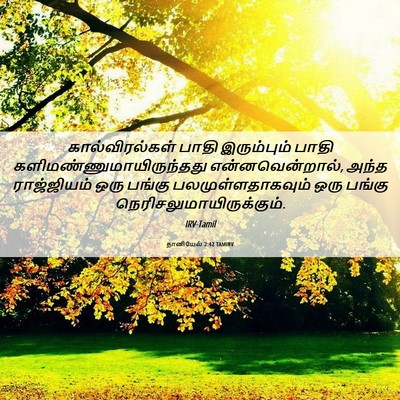 Picture 06 - தானியேல் 2:42 TAMIRV - கால்விரல்கள் பாதி - Bible Verse Picture