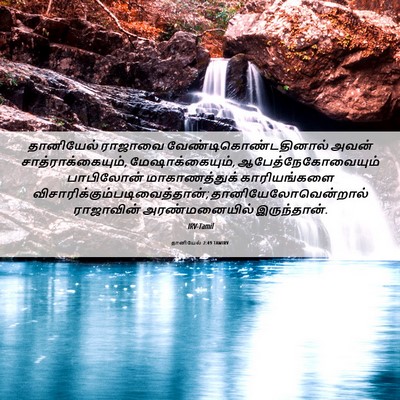 Picture 06 - தானியேல் 2:49 TAMIRV - தானியேல் ராஜாவை - Bible Verse Picture