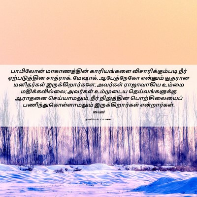 Picture 06 - தானியேல் 3:12 TAMIRV - பாபிலோன் - Bible Verse Picture