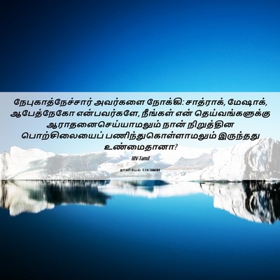 Picture 06 - தானியேல் 3:14 TAMIRV - நேபுகாத்நேச்சார் - Bible Verse Picture