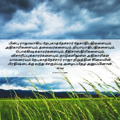 Picture 06 - தானியேல் 3:2 TAMIRV - பின்பு ராஜாவாகிய - Bible Verse Picture