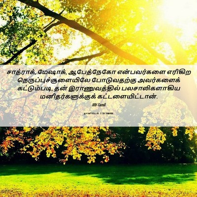 Picture 06 - தானியேல் 3:20 TAMIRV - சாத்ராக், மேஷாக், - Bible Verse Picture