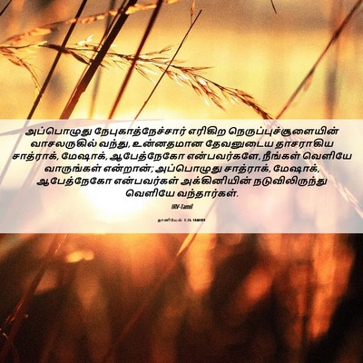 Picture 06 - தானியேல் 3:26 TAMIRV - அப்பொழுது - Bible Verse Picture