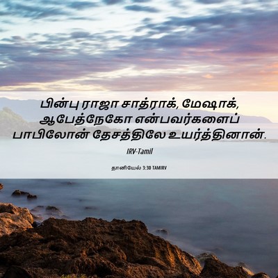 Picture 06 - தானியேல் 3:30 TAMIRV - பின்பு ராஜா - Bible Verse Picture
