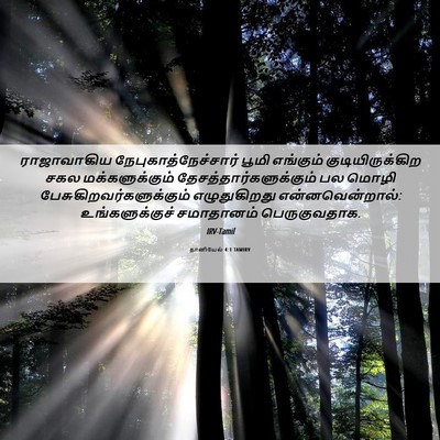 Picture 06 - தானியேல் 4:1 TAMIRV - ராஜாவாகிய - Bible Verse Picture